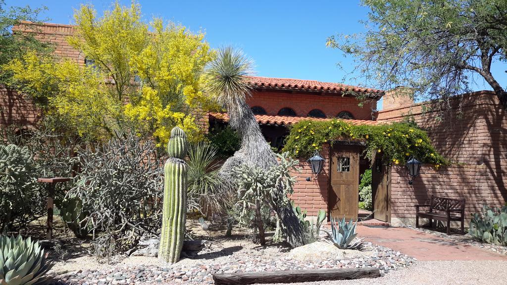 Desert Trails Bed & Breakfast Tanque Verde Exterior foto